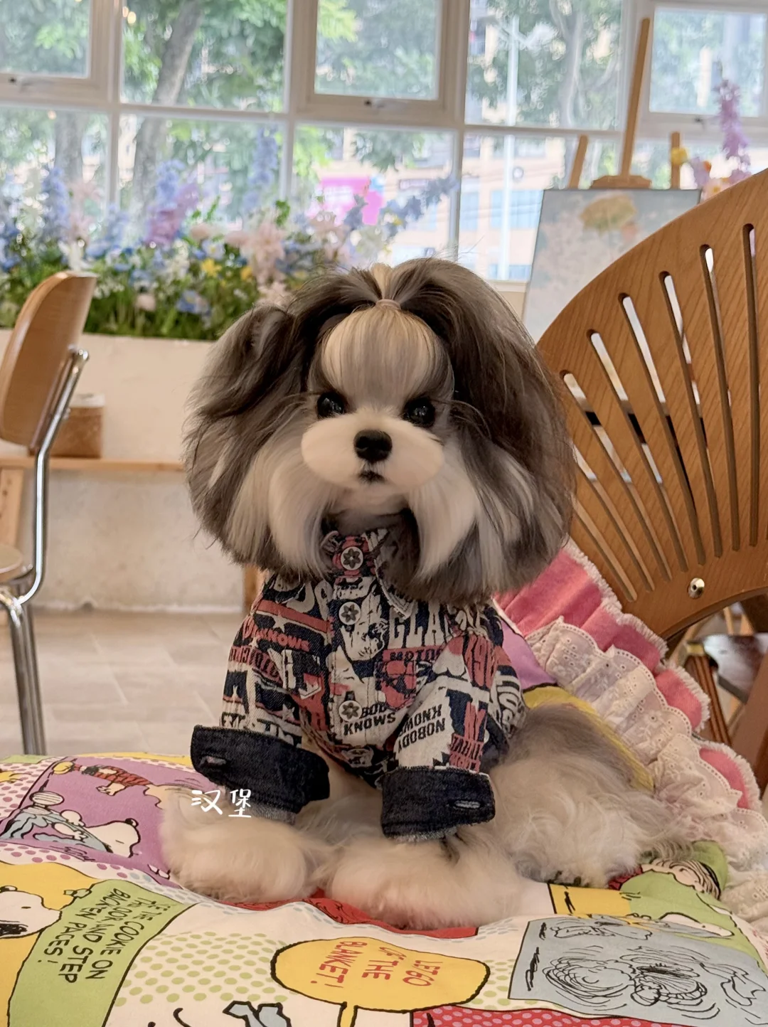 今日份奶酷小狗