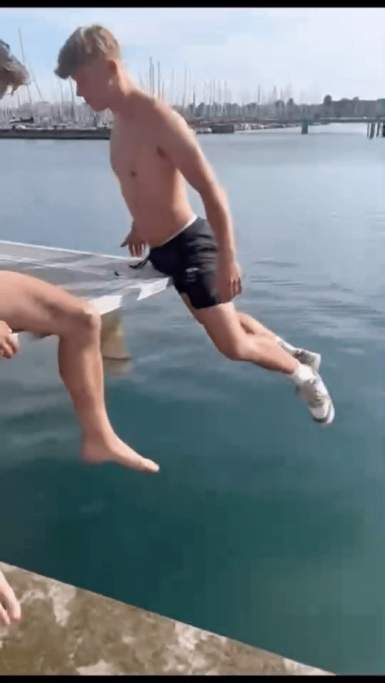 鸡用不上可以捐献给有需要的人 ​​​