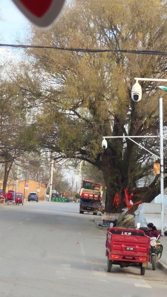 这次回老家，真给我干沉默了。
​
不是因为谁谁谁混得多好，买了多贵的车。
​
恰