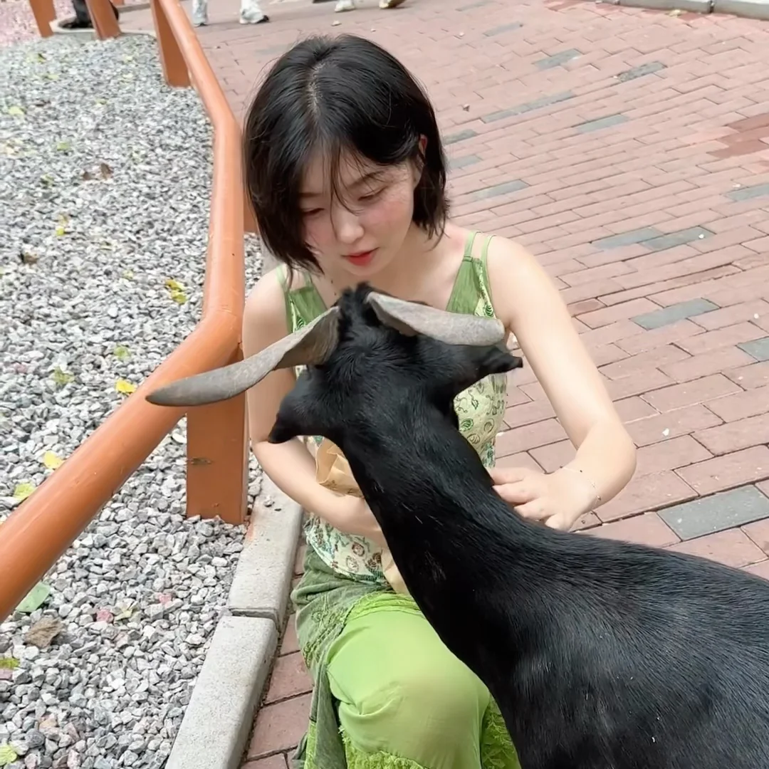 羊：吓一下她