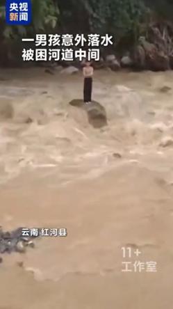 在云南红河，一名小男孩不慎落水，危急时他爬到河中的石头上，面对汹涌的洪水束手无策