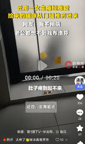 太神奇了！云南昭通，一女生痛经蹲卫生间缓解，没想到她的猫咪从门缝里推布洛芬进来，