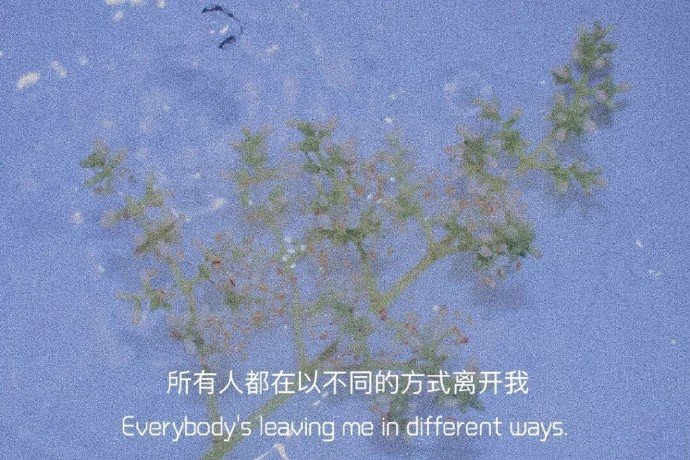 张爱玲曾写到：“若只是喜欢，何必夸张成爱，若只是多心，何必虚张成情”你的一句喜欢