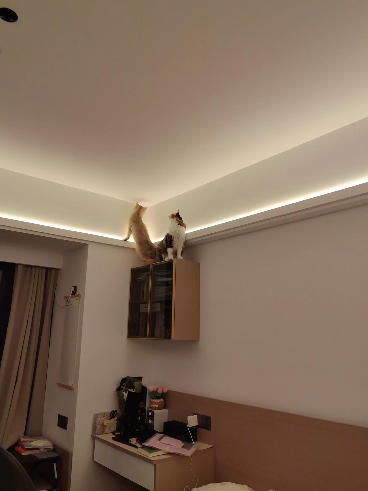 经济独立的女人，婚姻幸福吗很幸福，自己就是自己的依靠，靠谁都不如靠自己