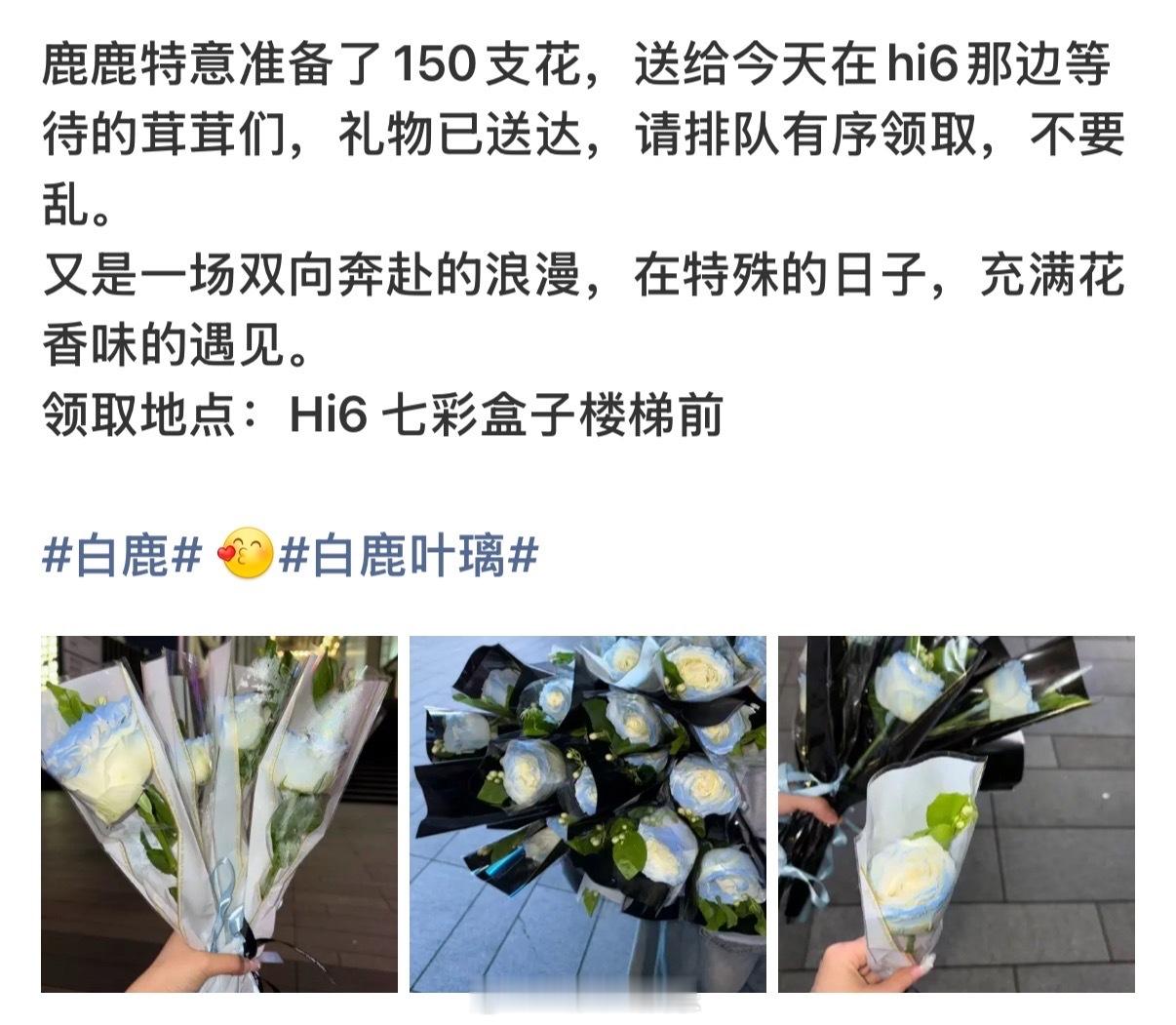 白鹿好好啊白鹿520给粉丝送花白鹿520给粉丝准备花