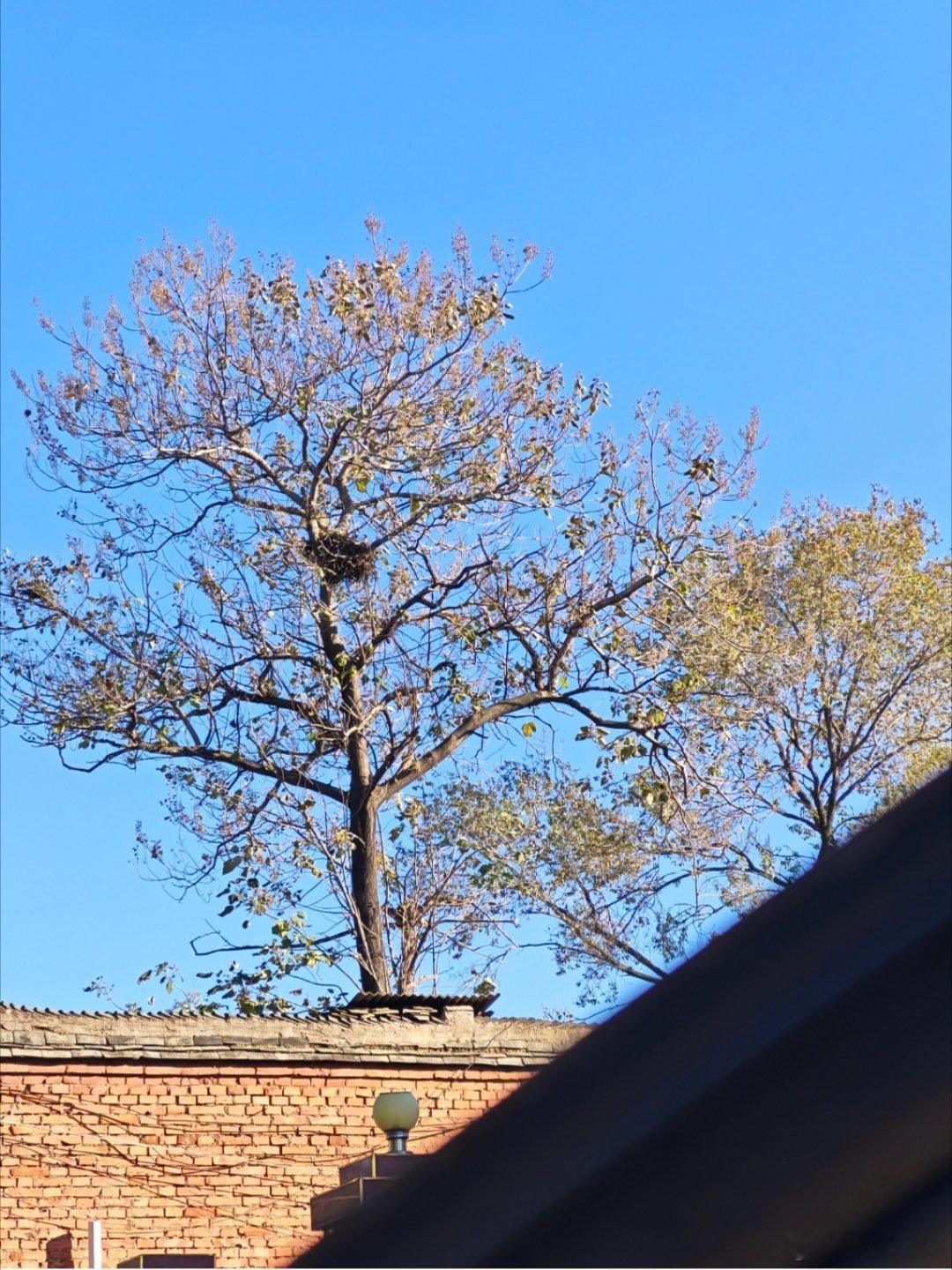 今年，你家里的暖气暖和吗？？？我感觉又是浪费钱的一年 