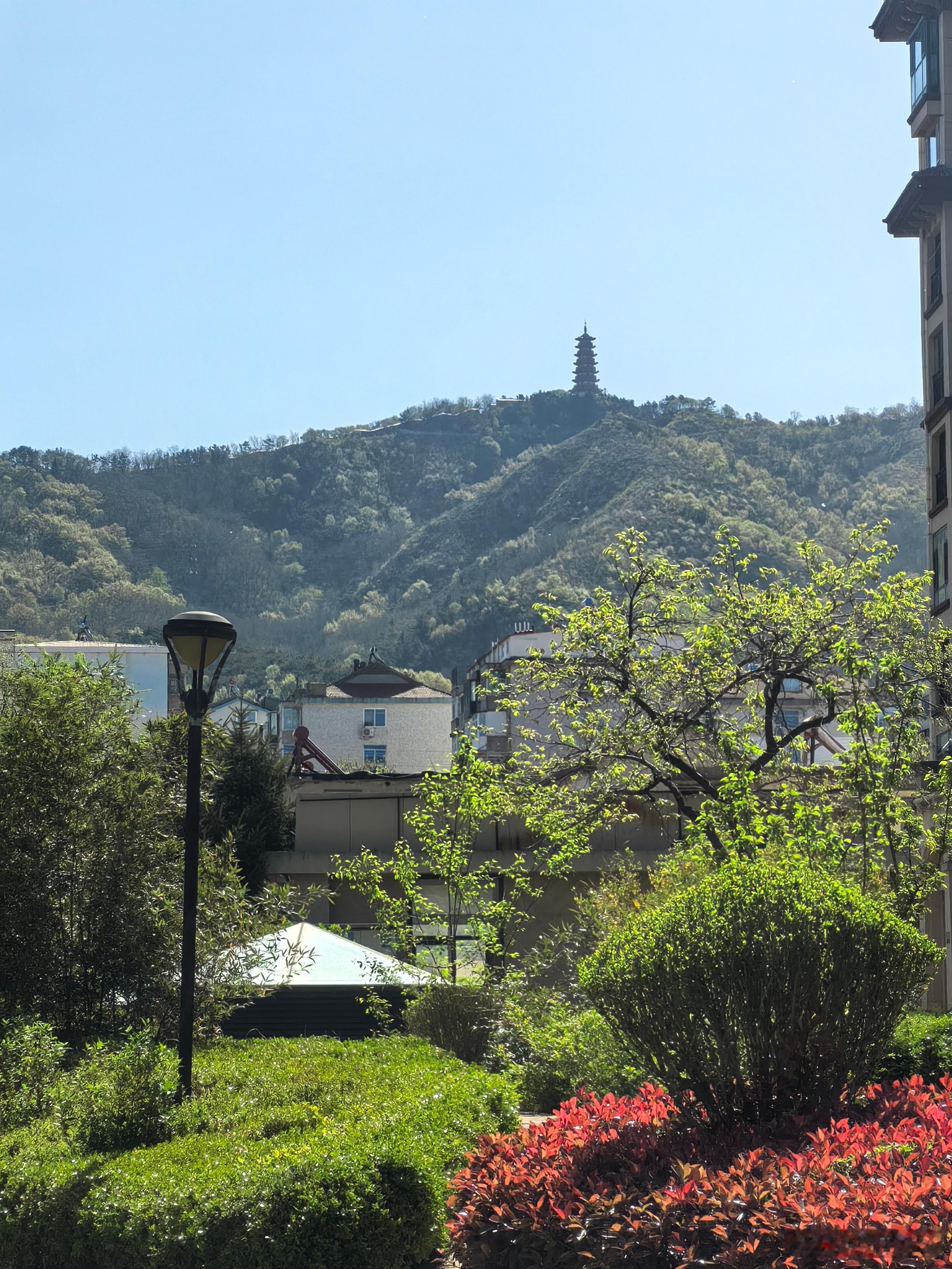 我家就在塔山脚下，今天天好，适合爬塔山 