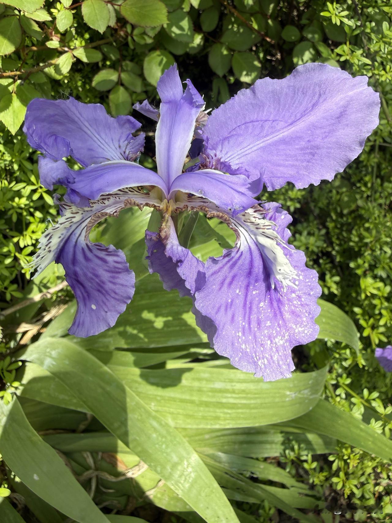 【小对联】
上：污点；
下：……？