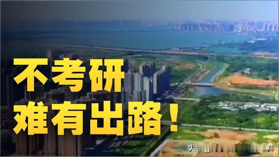 不考研没出路！这些专业不考研，找工作可能真有点难！

 家长和同学们注意了，有些