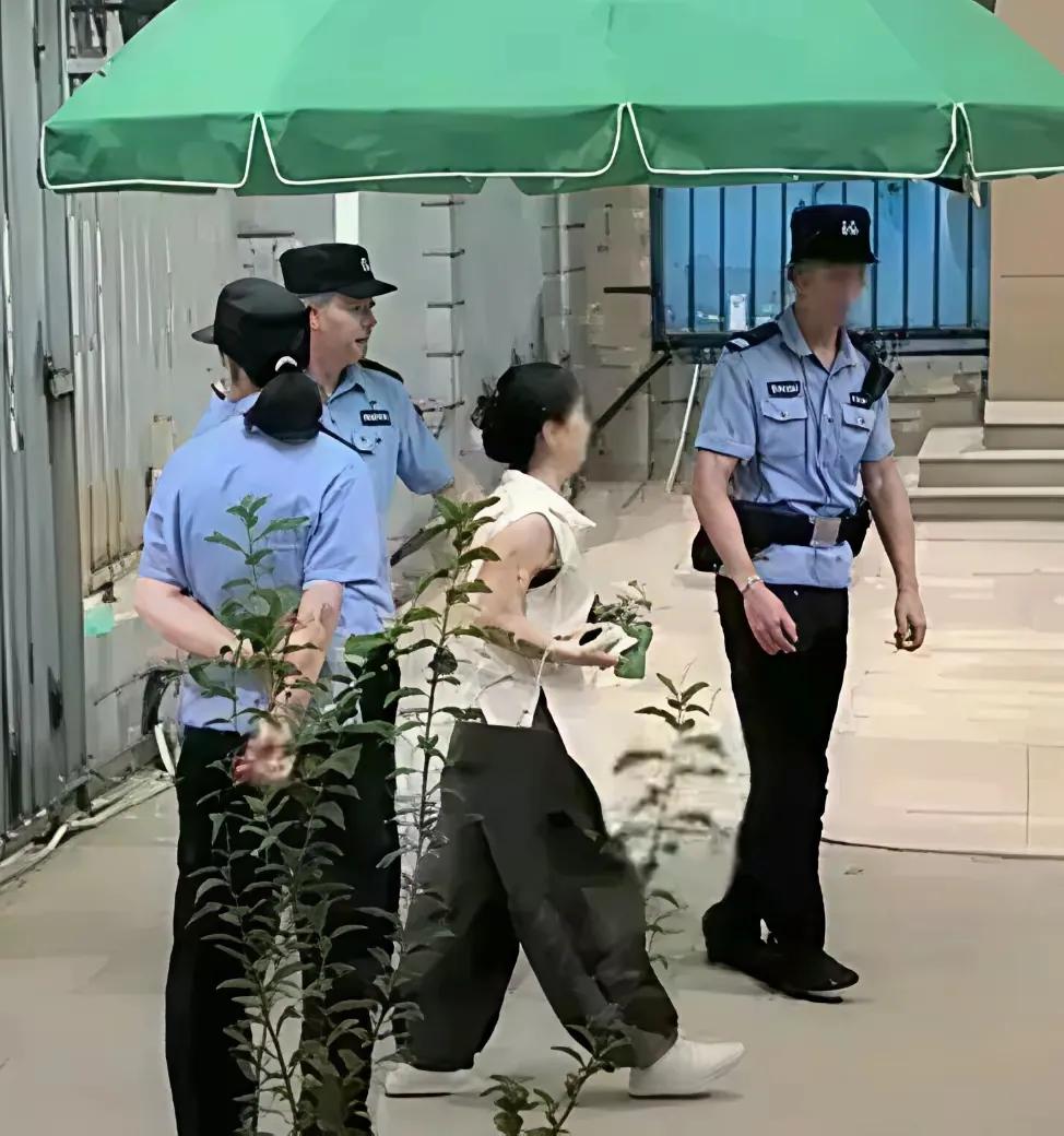 又是两个手机，又出现四个口罩！三拒绝庭审现场​，姚爸发现熊寡妇动不动就把两只手放