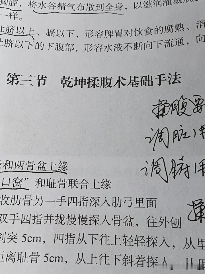 胃胀中医如何治？
胃胀中医治疗的方法很多，今天分享一个食疗方。白萝卜粒也叫“莱服