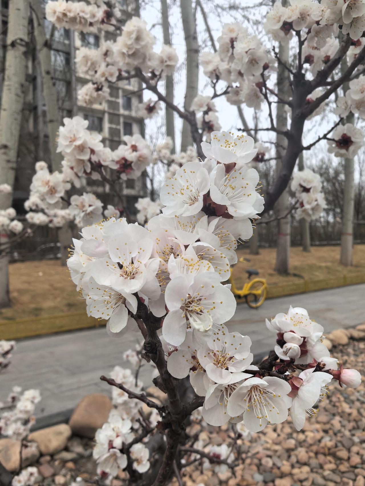 人不能想太多，想太多，心会累；心累了，人就会活得更累。谁的生活没有一地鸡毛？谁也