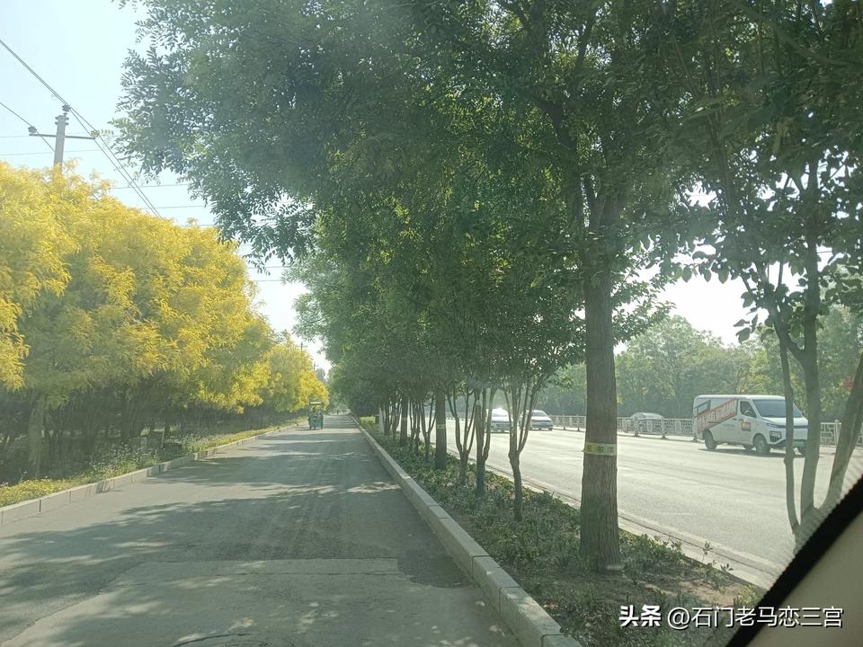 我的骑车路线呀，也是绿树成荫呢！路边的植物造型整齐，高矮各不相同，奇花异草随处可