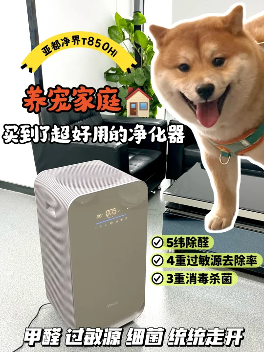 带宠物搬新家，幸好有亚都空气净化器！