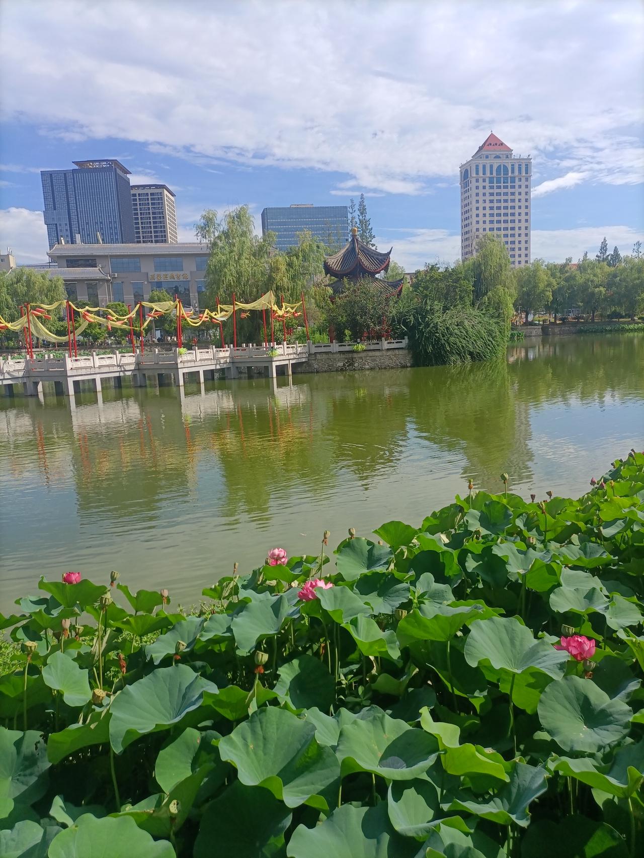 【夏之韵·莲花池中悟人生】分享随手拍的景色
生活没有真正的完美，
只有不完美才是