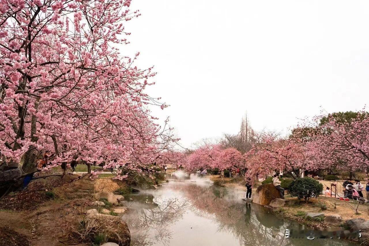 踏入了社会以后要懂得这样几件事：
1、身上的衣服再好看不要穿超过3天
2、异性刚