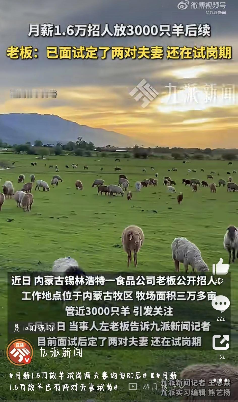 最近，内蒙古锡林浩特一则“高薪放羊”的招聘在网上火了，很多人都羡慕得不行。如今这