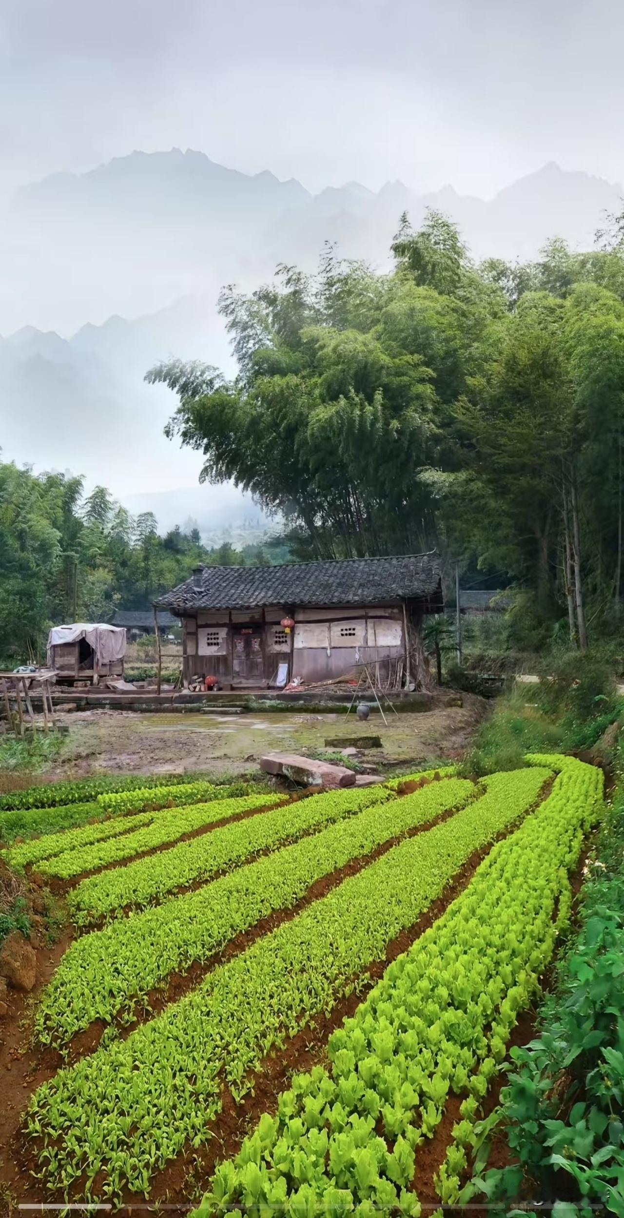 拐杖记
 
     昨天星期天，我在小区的广场边上等人。无意间听到在广场晒太阳