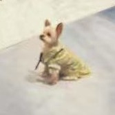 球尼克和呆朱迪啊啊啊🤣 