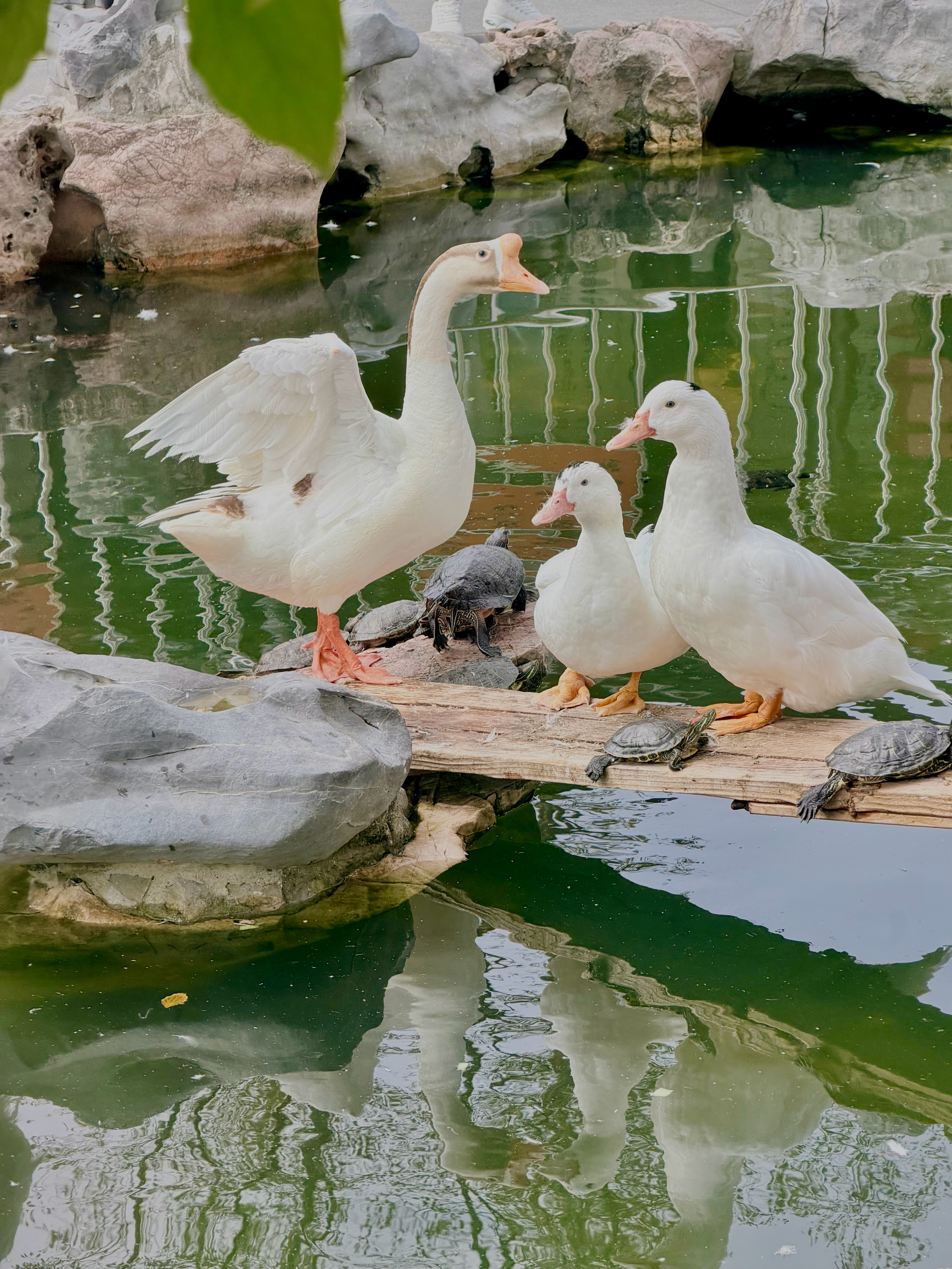 🌱❤️今日龙华寺，祈福遇好天气。心有归处，人自安然。 