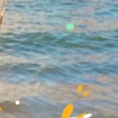 早安[超话] 🌼 𝒢𝑜𝑜𝒹 𝑀𝑜𝓇𝓃𝒾𝓃𝑔 🌱今天的第