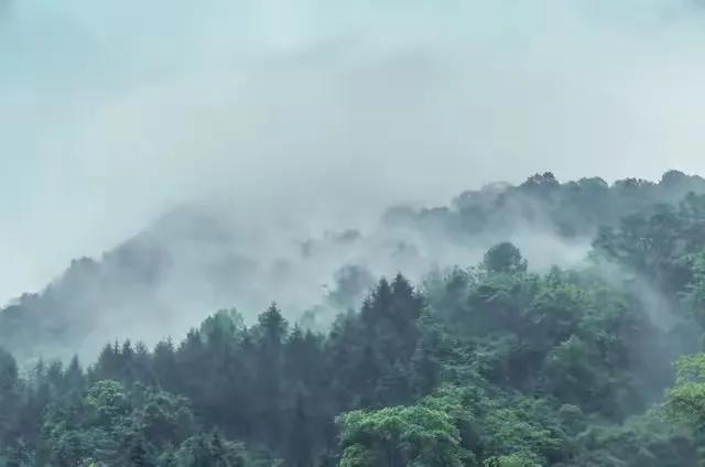 临江仙·乡村新貌

（文/扬言潮声）

碧水青山萦旧梦，乡村新貌堪夸。稻香千里映