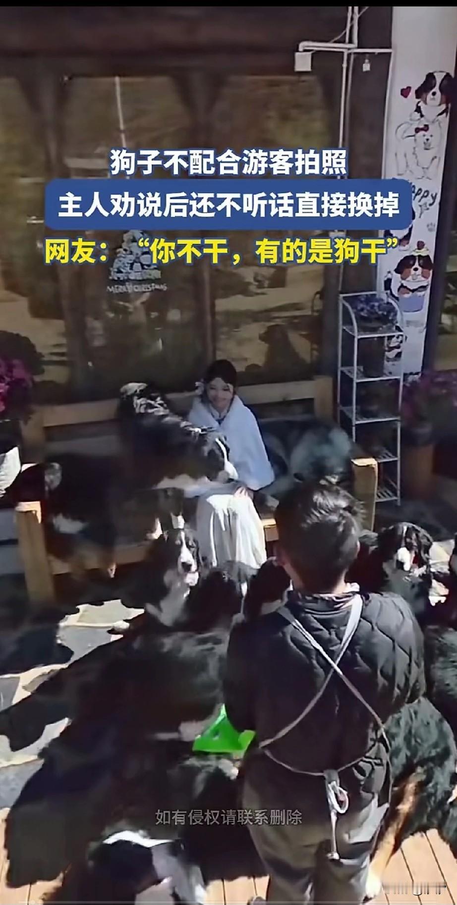 一景点用狗狗拍照，很受游客欢迎，一天那只小狗闹情绪，狗主人说了很久！

可是小狗