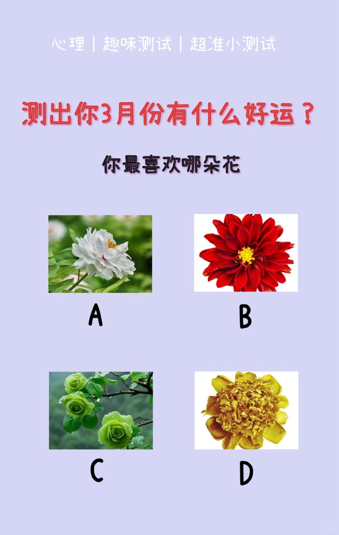 🔥测试｜测出你3月份有什么好运？