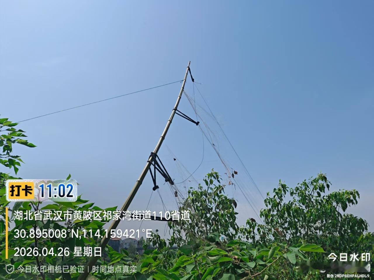 2026年4月26日，志愿者在湖北省武汉市黄陂区邓家湾，发现两张制式完整的专业捕