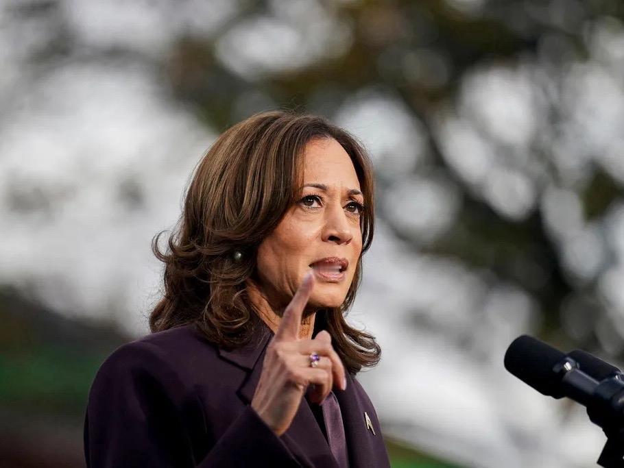 近日，美国民主党政治格局泛起涟漪，加利福尼亚州州长纽森与前副总统哈里斯，先后在采