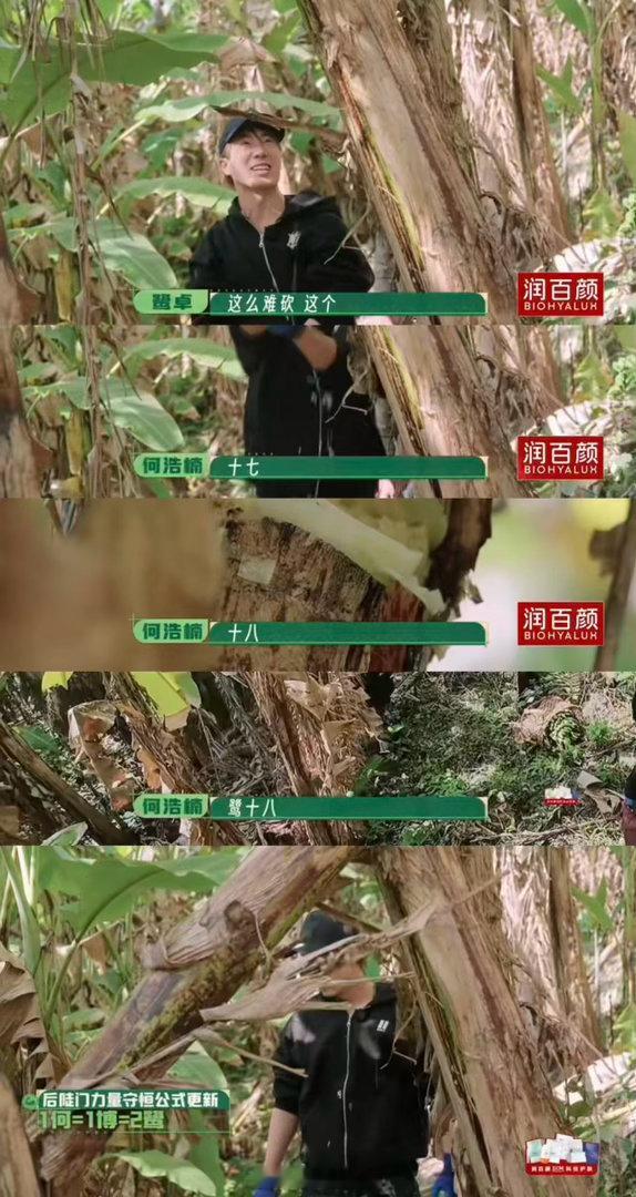 十个勤天十个刀郎 你一刀我一刀，香蕉没哭网友先笑疯，十个勤天这刻板印象是摘不掉了