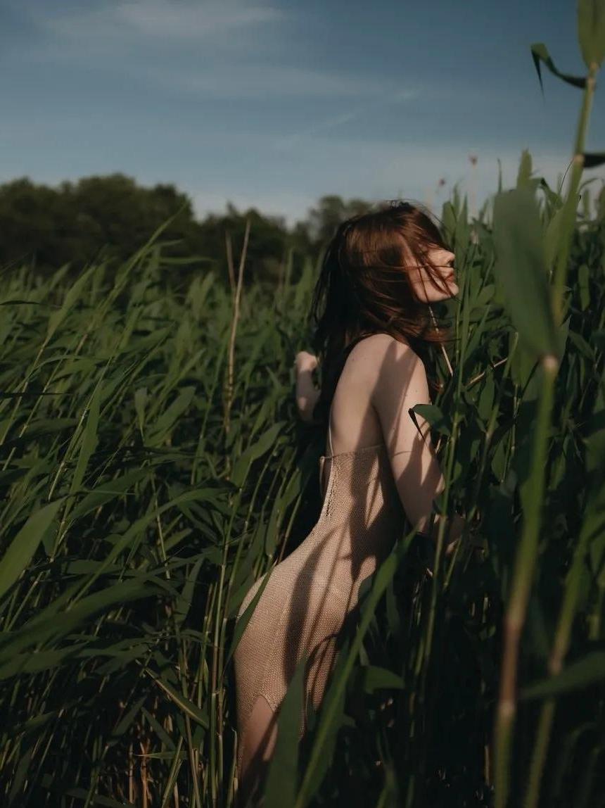 苇间秋语（现代诗）
 
不必说风里
藏了多少旧时光
芦苇一荡 
就摇落半季霜
