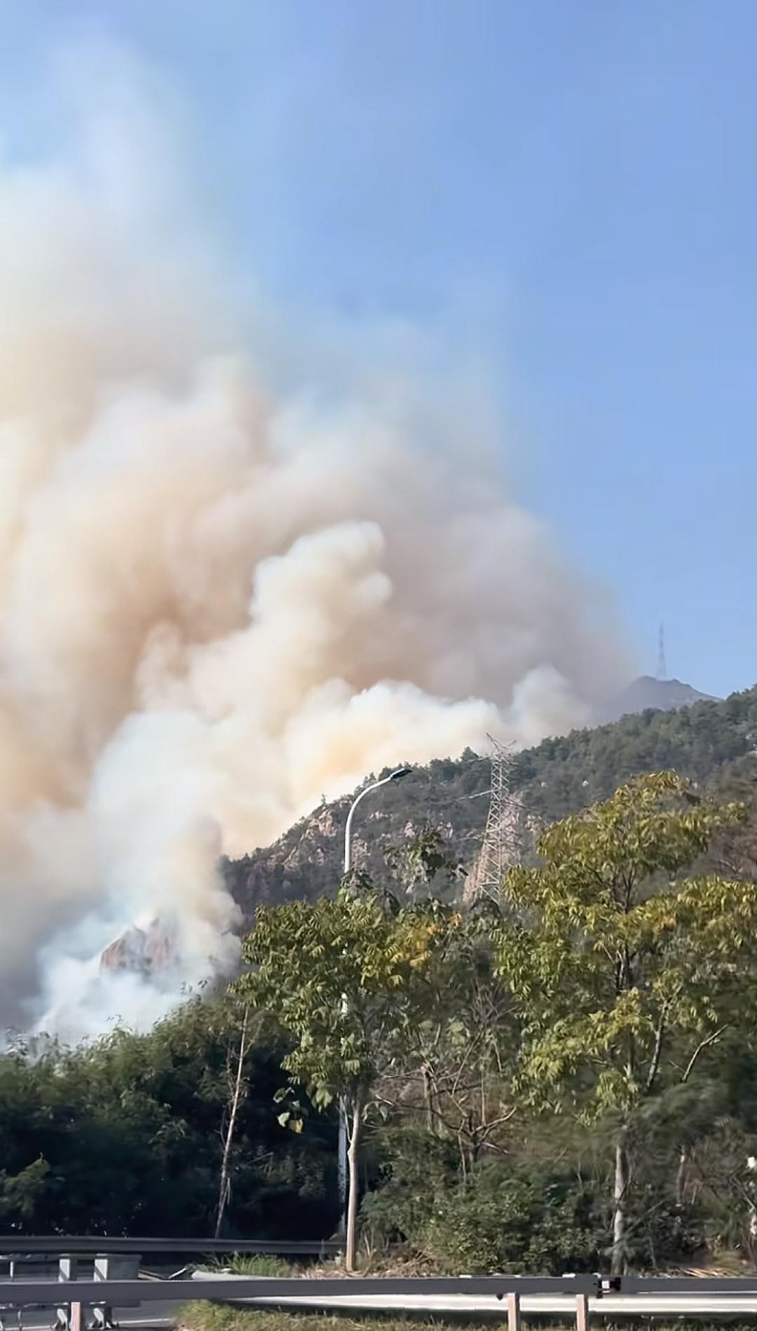 天呐！大罗山好大的火起火 大火 消防