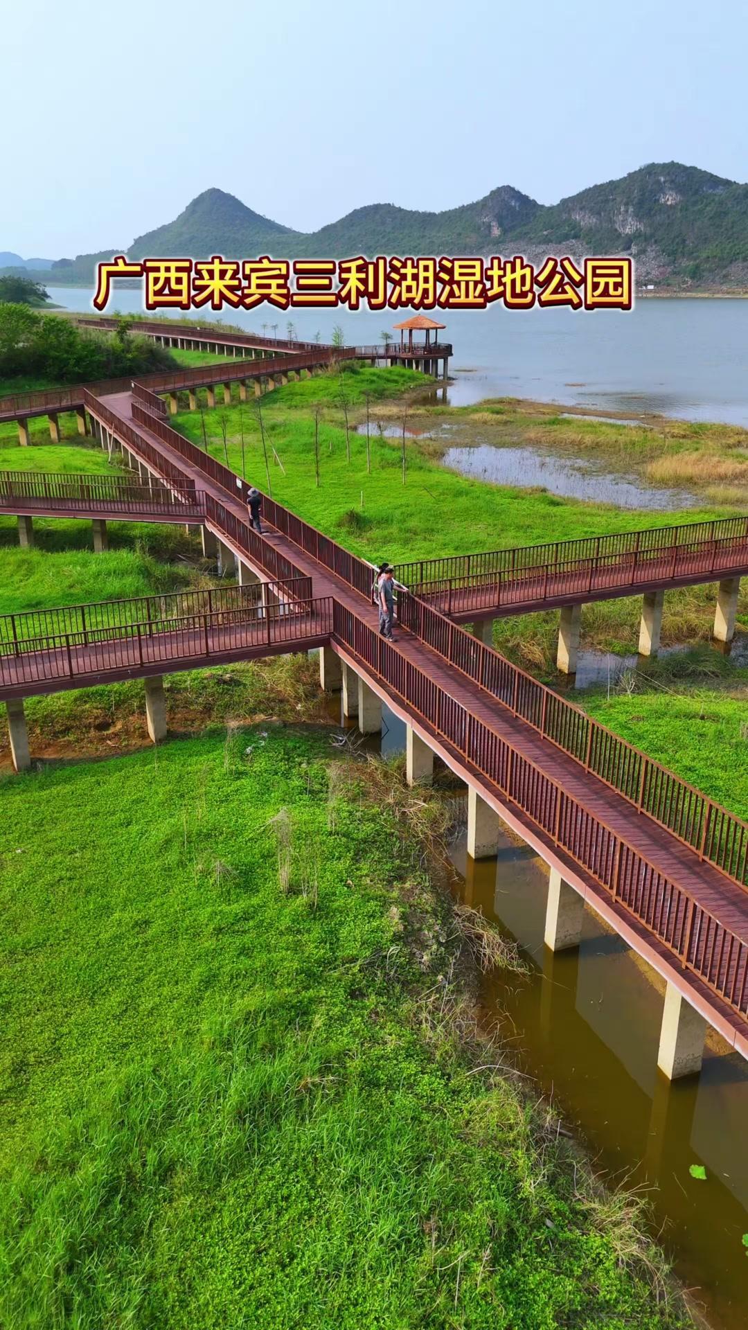 来住三利湖湿地公园太绝了！🌿来宾三利湖湿地公园，这里不要门票，停车也免费！大片