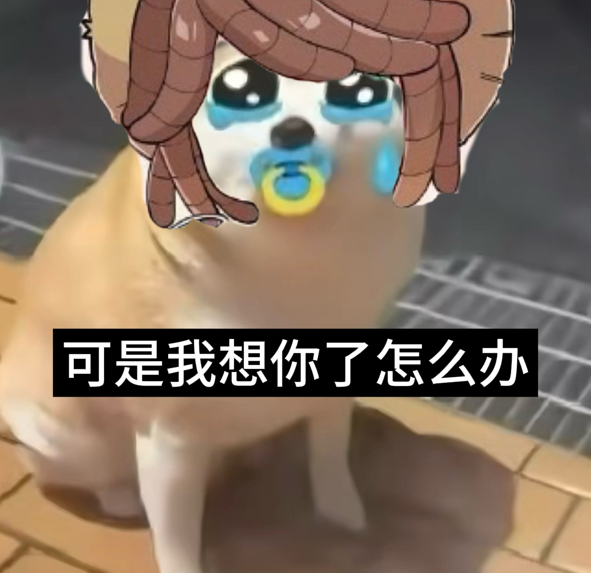 园丁一秒没看到我： 