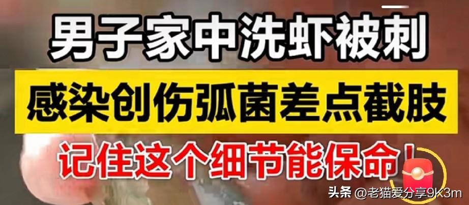浙江88岁的王大爷，清洗海鲈鱼时被鱼刺扎破手指。当晚手指红肿发紫，第二天整只手肿