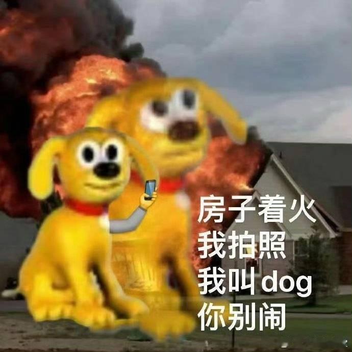 📢：碧池星球重大通知❗️⚠️盒//岛商品暂时全部下架⚠️包括门槛（绿泡泡联系方