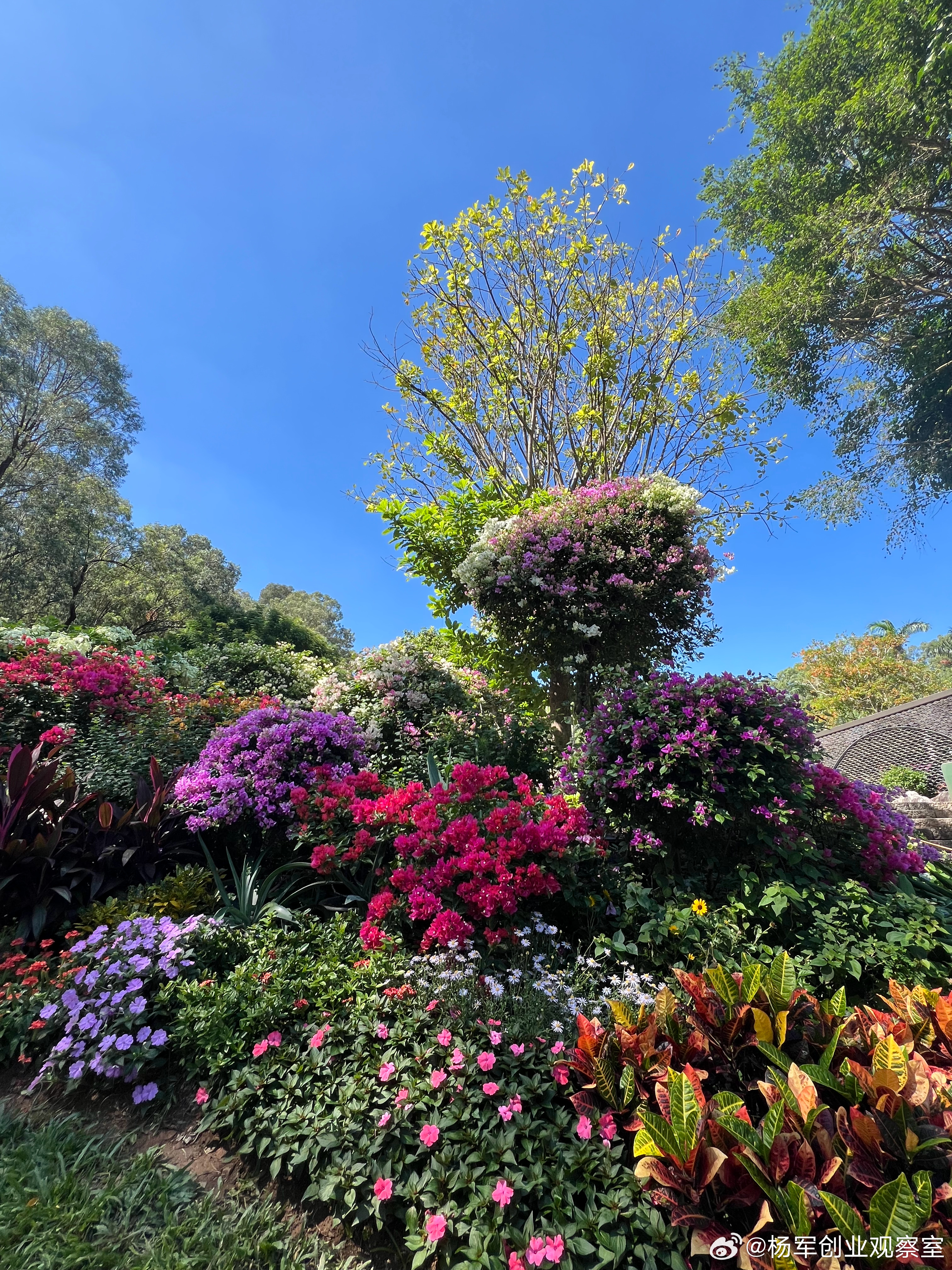 通过股权融资、引入战略投资者等，可以影响公司治理如果发行债券或股票可提高公司透明