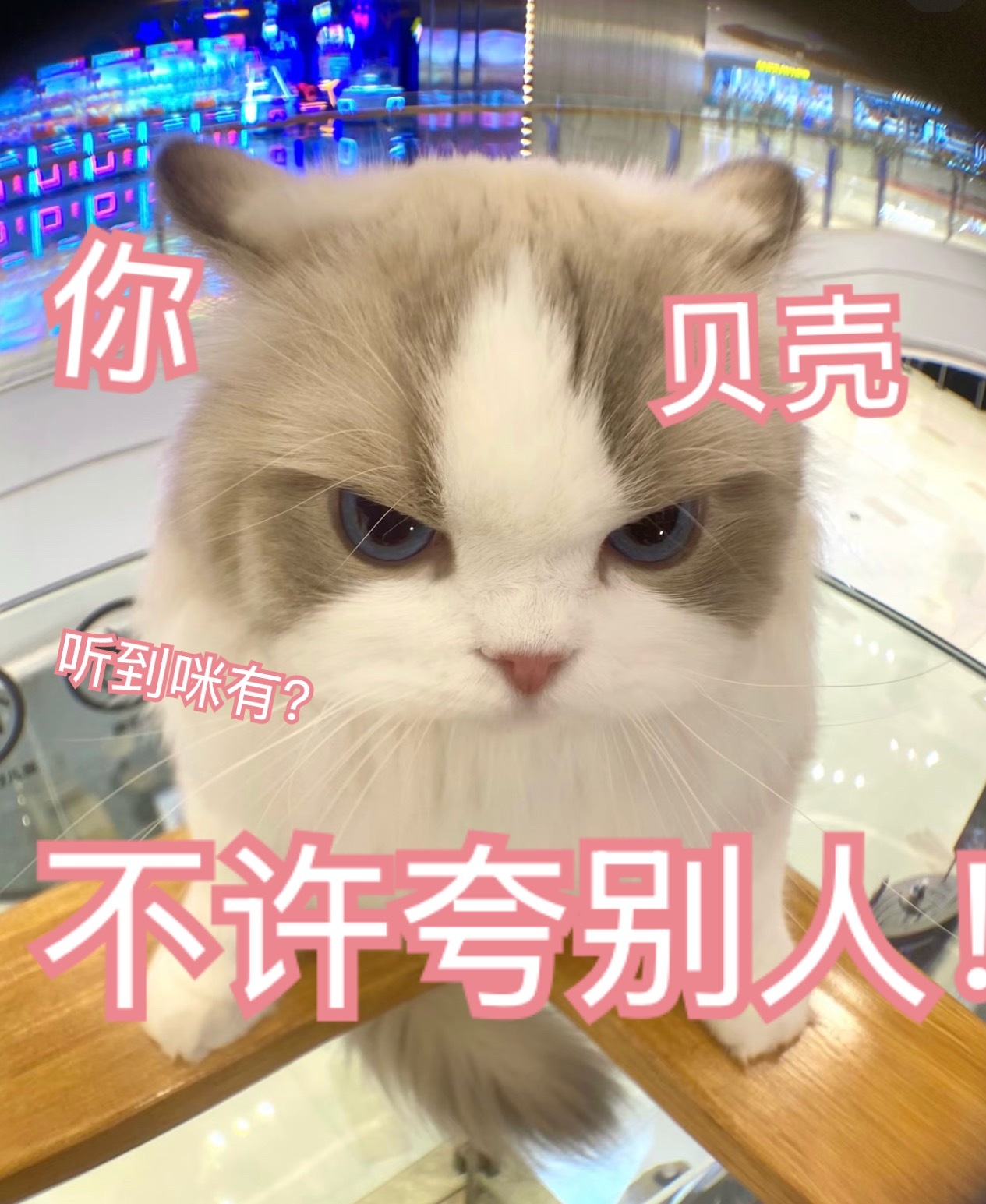 小咪狠狠摇铃 