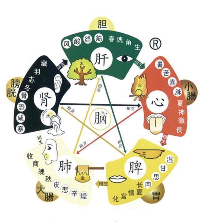 心衰失眠，肾衰尿频，肺衰便秘，教你三招，帮你改善它

1. 肾衰尿频
原因：肾司