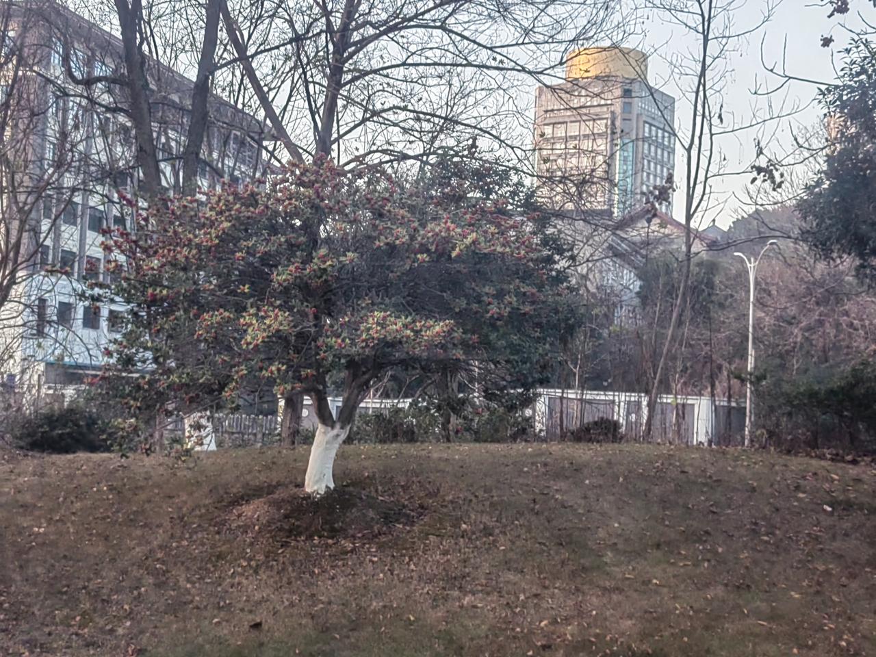 情商高就是说话让人舒服吗?
表面上看起来、听起来都很顺，内心实际可以借鉴“厚黑学