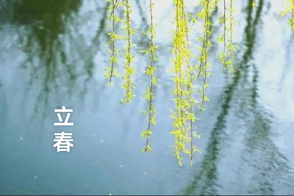 七律.立春

冬阳—夜暖融融，知是东君送玉龙。
垄上残寒消素影，枝头小蕾吐新容。