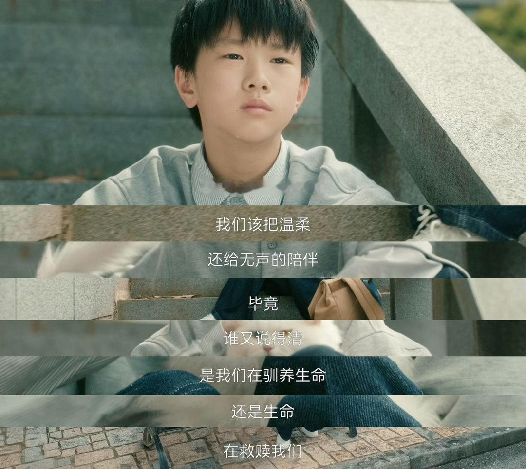 灵魂摆渡为猫咪演技正名🪞生镜头无修饰也尽显灵气，福神猫咪细微的眼神变化饱含情绪