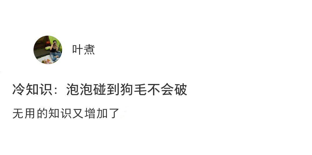 冷知识：泡泡碰到小狗的毛不会破[开学季] ​​​