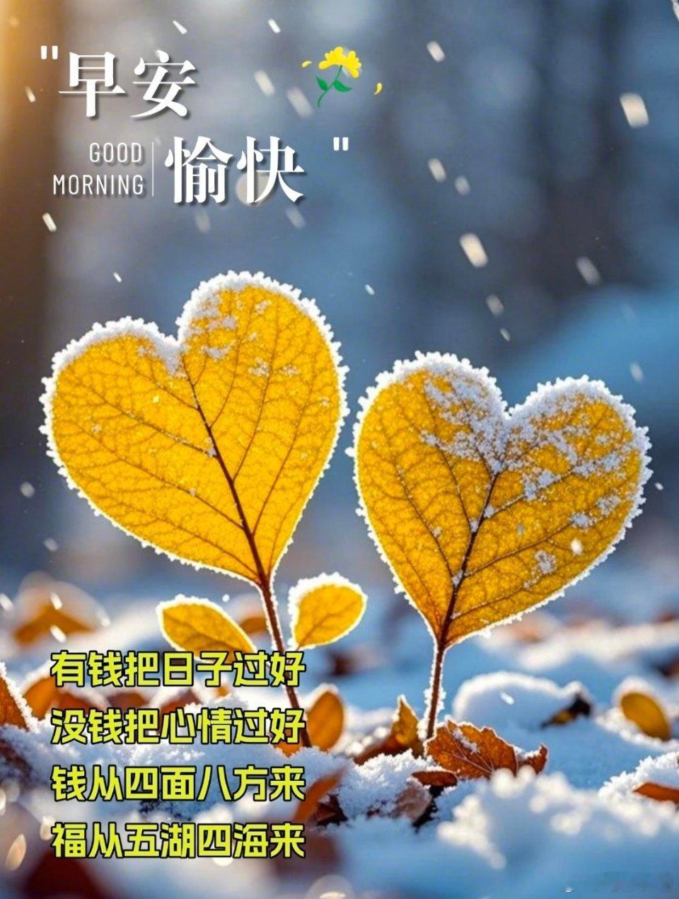 冬雪皑皑，覆尽世间纷扰，玉洁冰清。回首来路，繁华与落寞皆成过往，恰似雪落无痕。生
