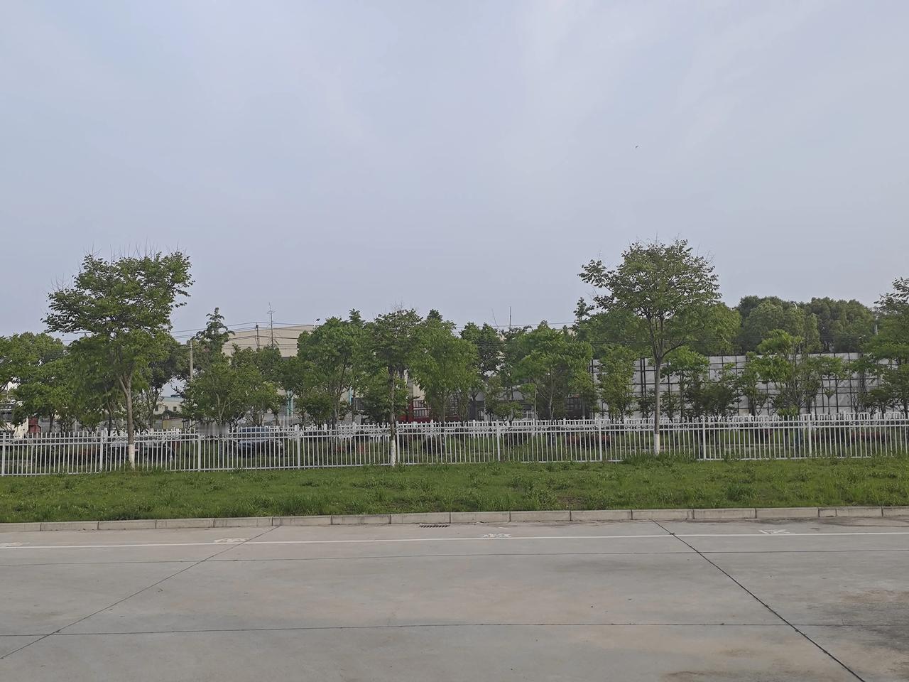 教师职称评审：水分滋生的多重根源
教师职称评审的公平性饱受诟病，核心问题在于评审