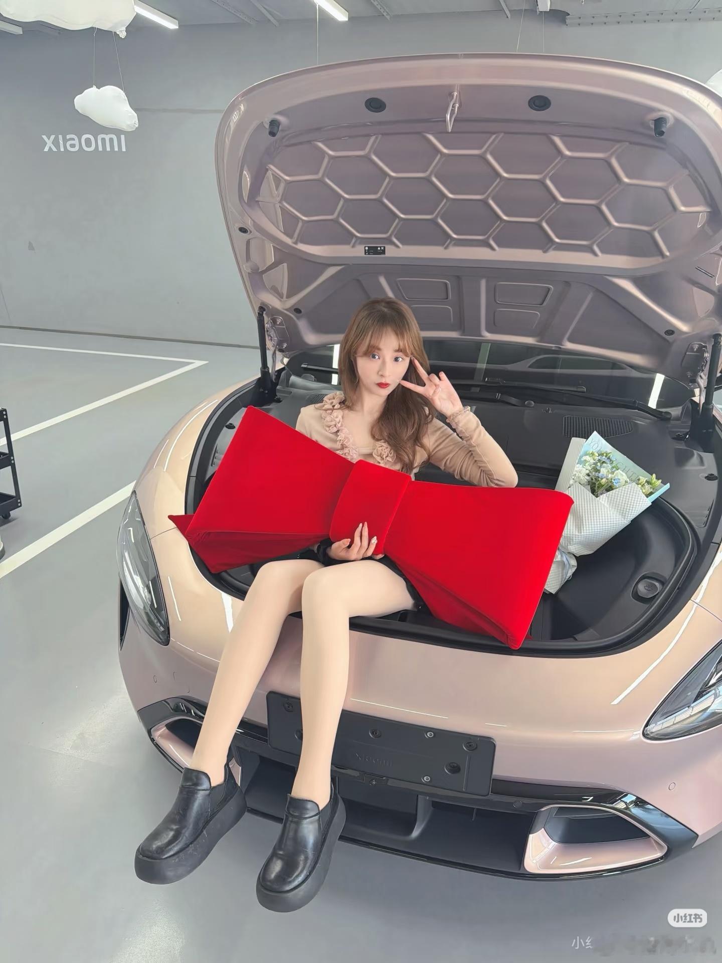 晚安猫窝每日晚安