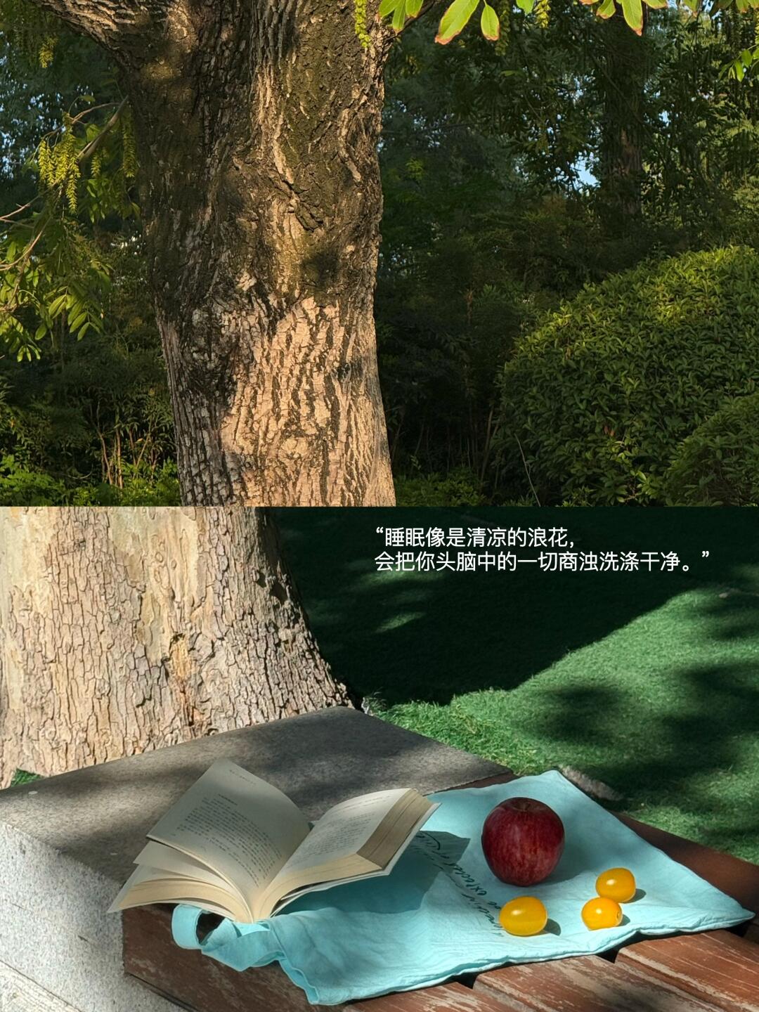 保持情绪稳定的秘诀是睡个好觉。