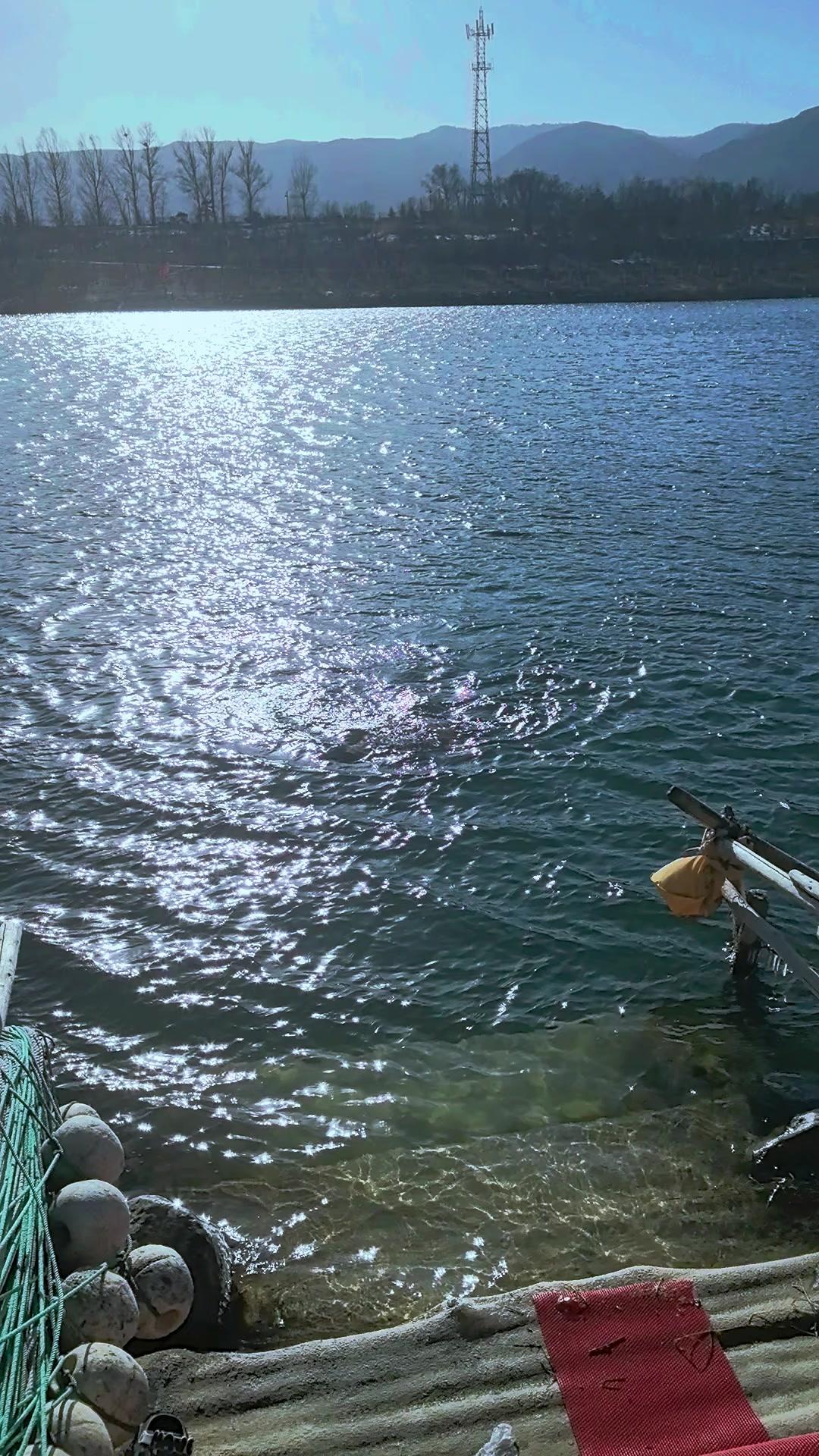 三九天汾河冬泳八分钟？太狠了！🌊今天在太原市汾河里遇见一位“狠人”。三九天的汾