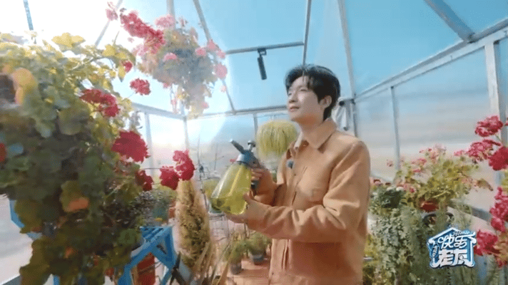 快乐老友局松弛感这块 谁懂再就业男团的慢生活救赎感！厚米乐园里花式撒欢，全员躺平